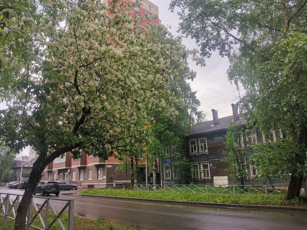 Тельцы поймают удачу, а Дев ждут трудности на работе: гороскоп с 14 по 18 июня