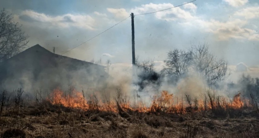 Лесной пожар в Коми тушили 12 часов 