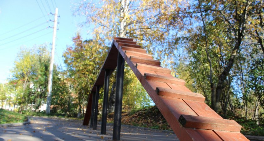 В Сыктывкаре появится новая площадка для выгула и дрессировки собак