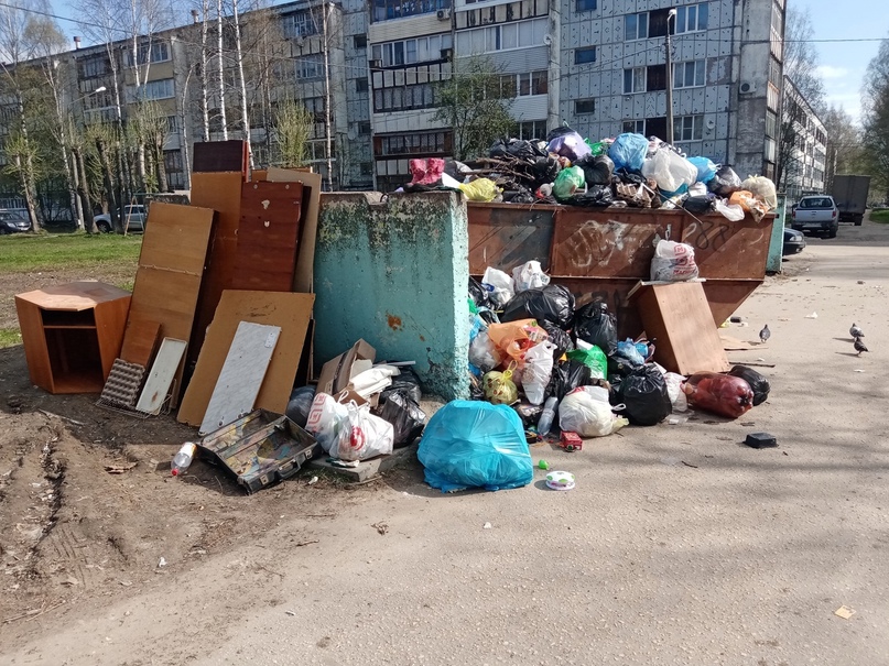 "Народный контроль": сыктывкарцы жалуются на склады мусора и веток в городе