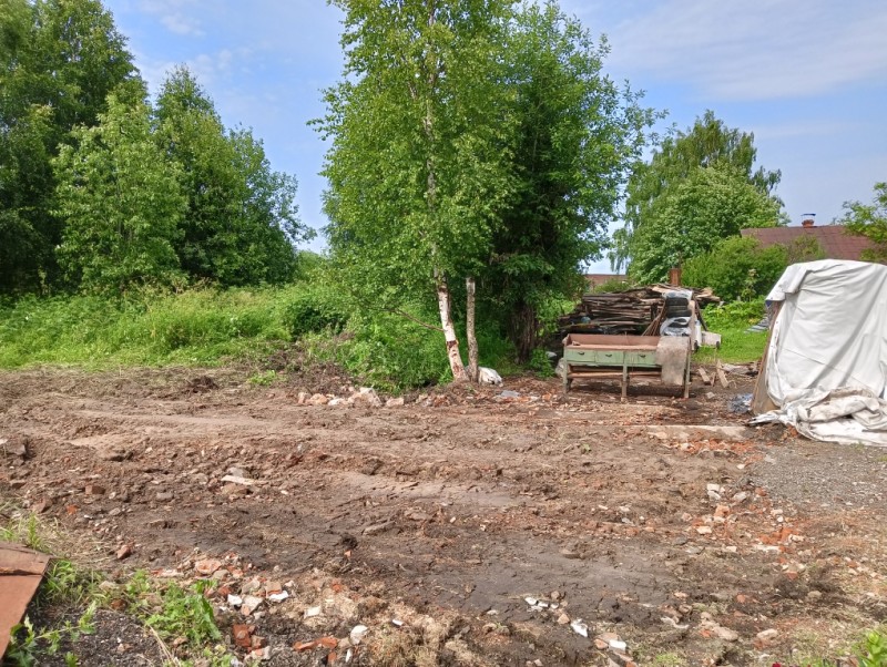 Экс-сыктывкарка снесла три гаража, чтобы выехать из страны