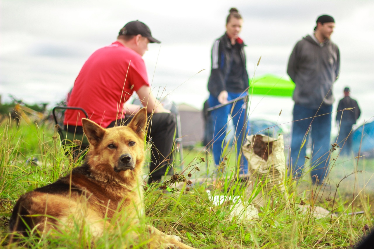 Глоба: личная жизнь Раков будет бурлить, а Весы прыгнут выше головы и разбогатеют
