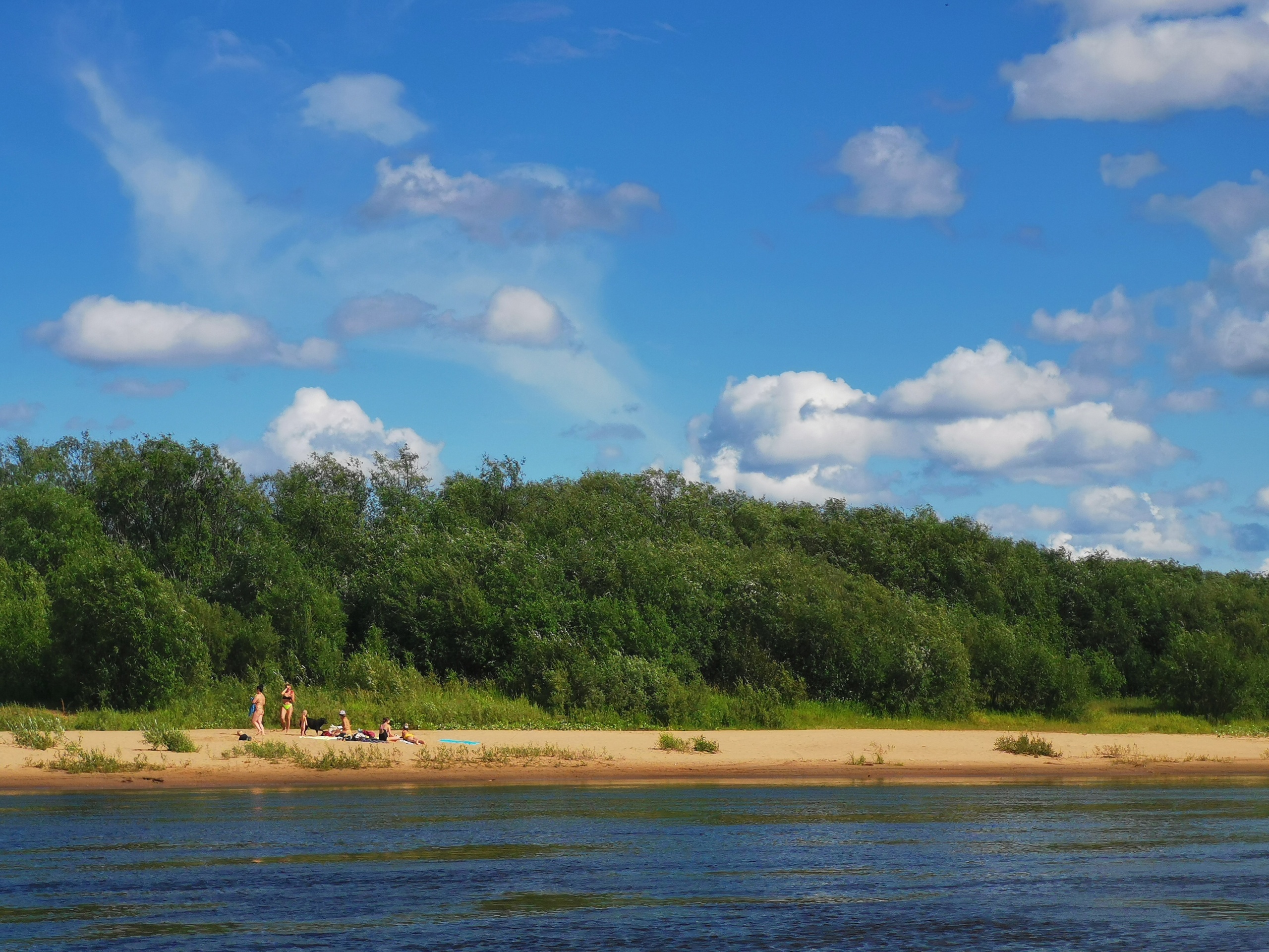Тельцам стоит что-то поменять, а Девам — доделать дела: гороскоп на 24 июля