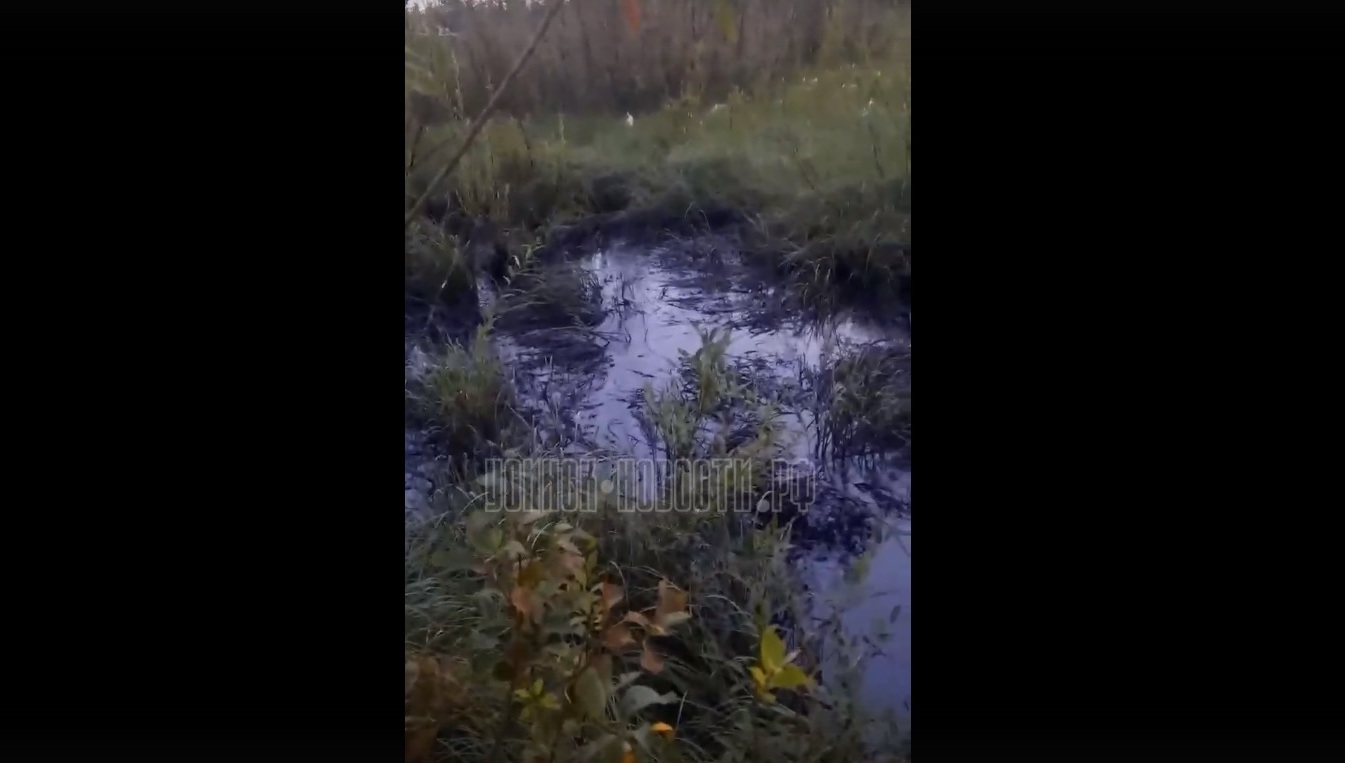 В Коми прорвало бесхозный нефтепровод