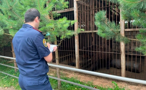 В Тульской области медведь напал на женщину и ребенка