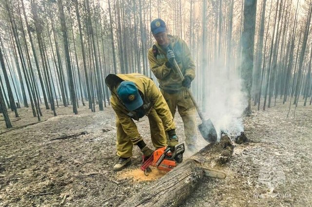 Лесные пожары в Коми будут тушить карельские летчики