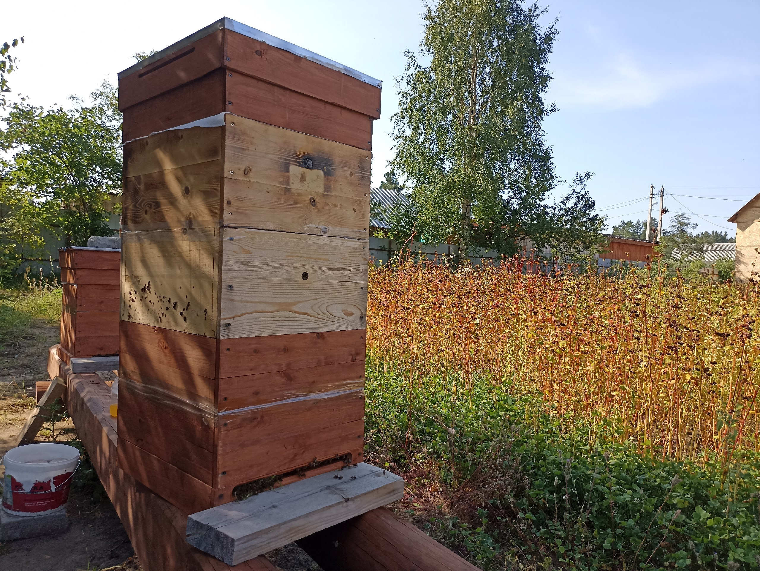 В Коми прошёл первый форум пчеловодов Республики 