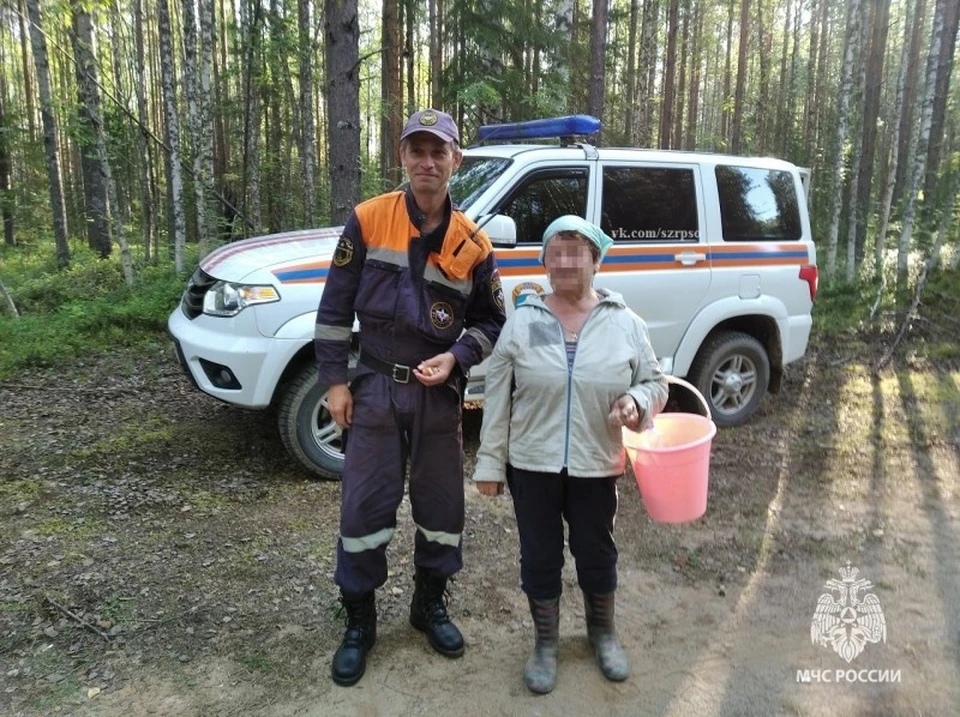 В Коми пожилая женщина потерялась в лесу и провела ночь на болоте