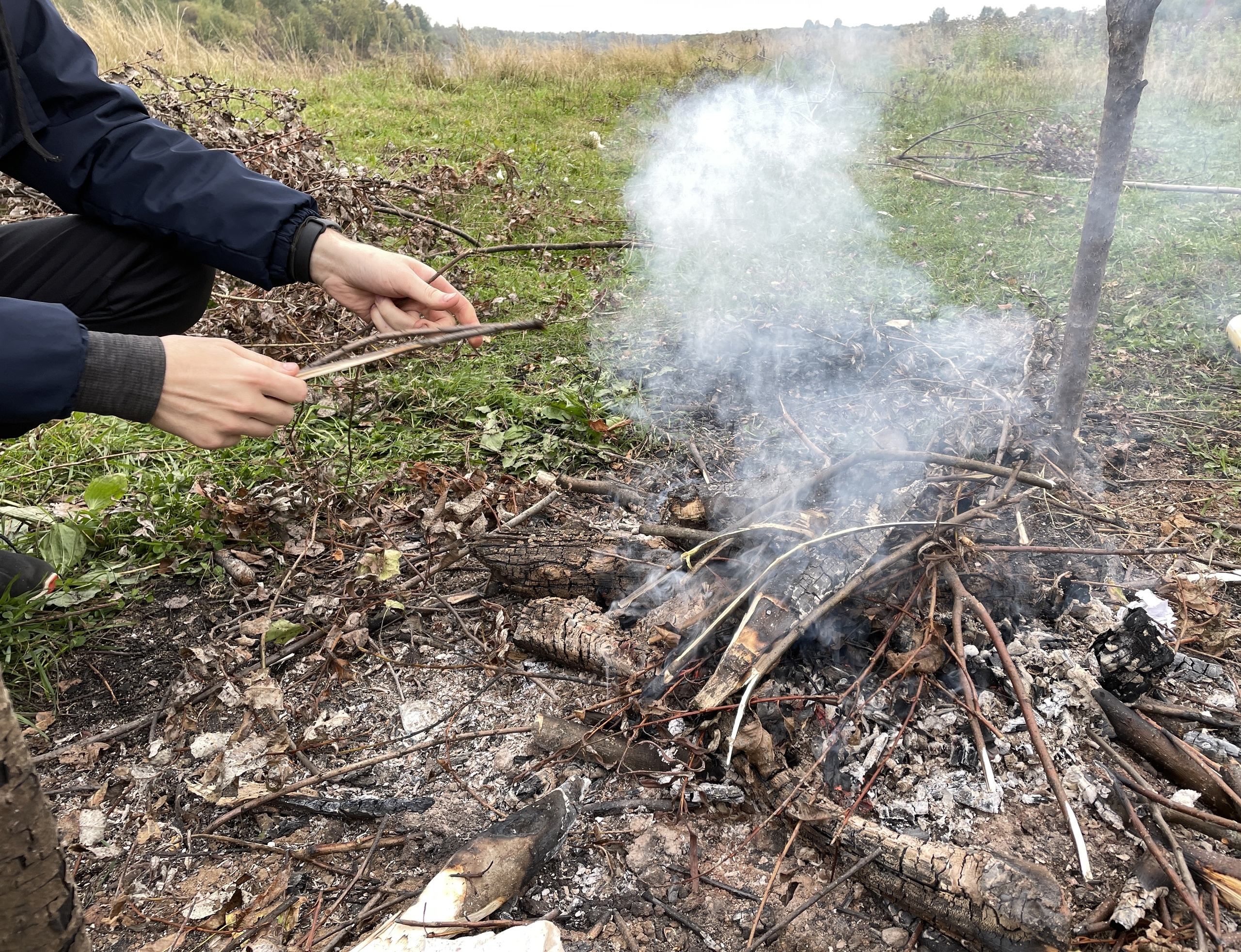 В лесах Коми появились беседки, чтобы уменьшить риск возникновения пожаров 