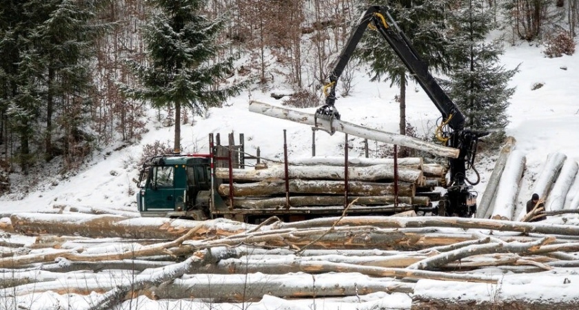 Жители района Коми остались без обещанных дров