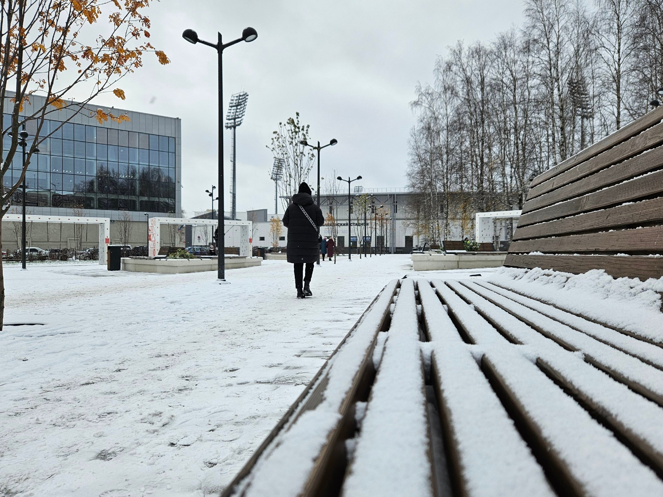 Мокрый снег и туманное утро: погода в Коми на 24 декабря