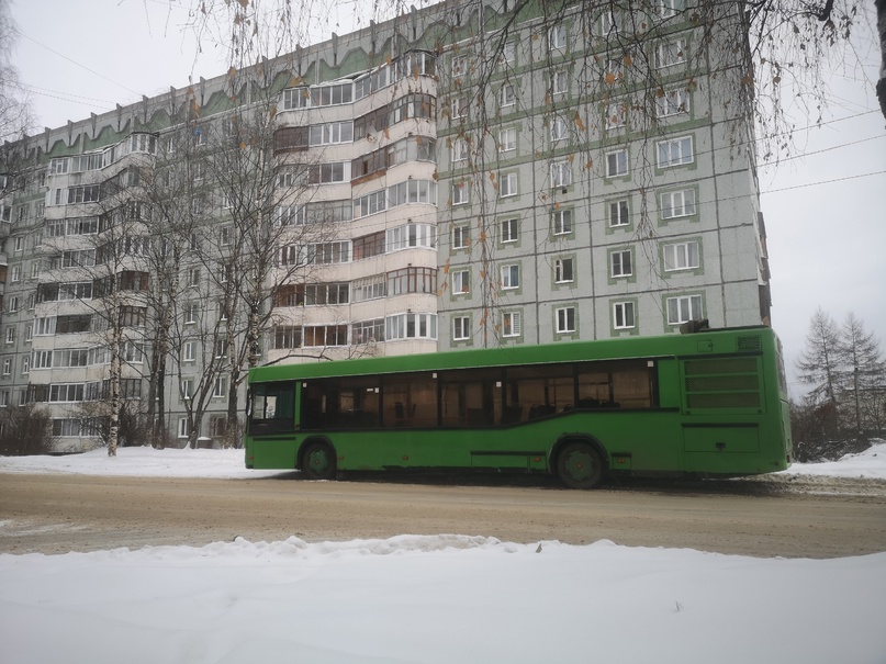 Сыктывкарцы смогут бесплатно проехаться на автобусе