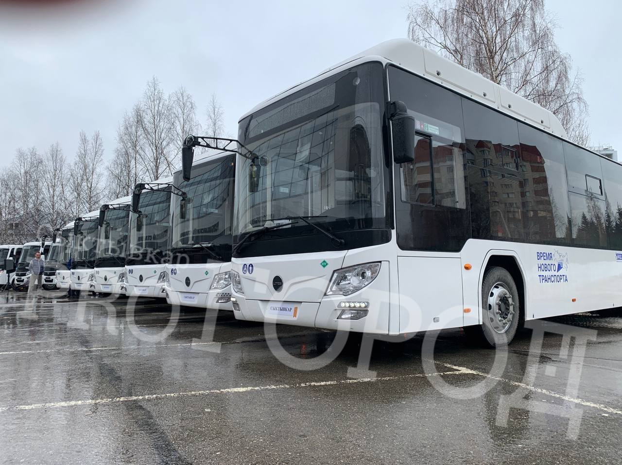 Сыктывкар и Ухта получили новую партию автобусов 
