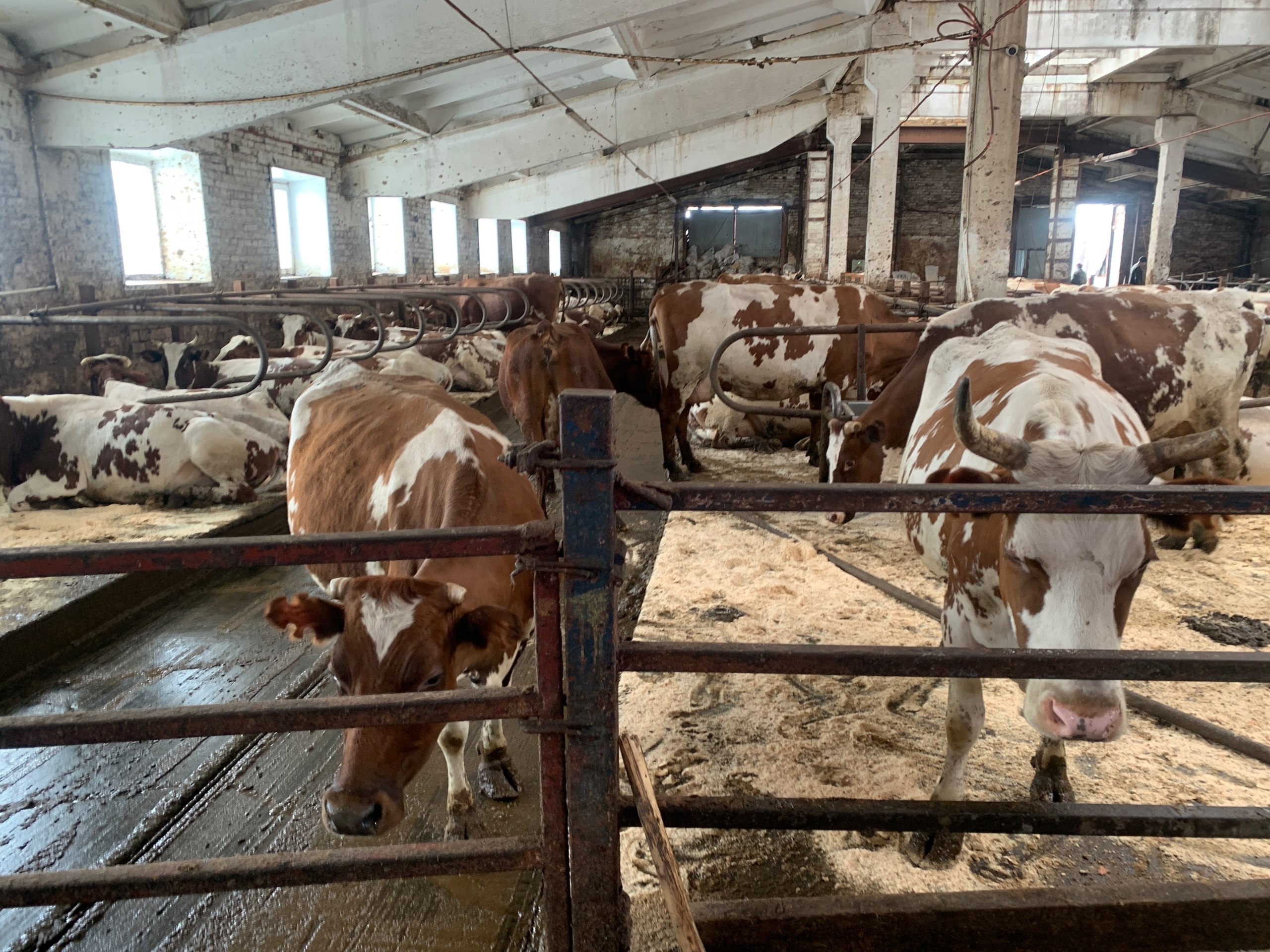 В рамках льготного кредитования аграриев России выделят дополнительные 5 миллиардов рублей