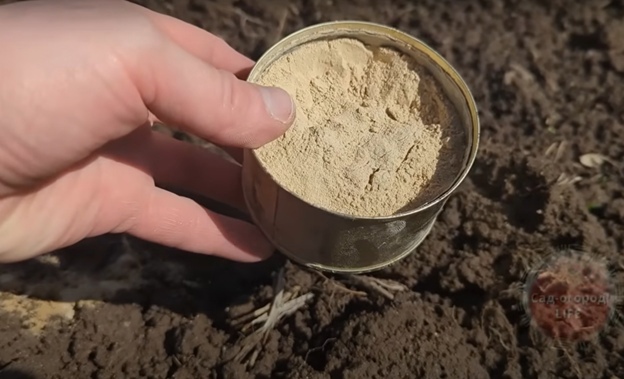 Лучше навоза и биогумуса — этот порошок содержит полтаблицы Менделеева: посыпаем грядки в мае