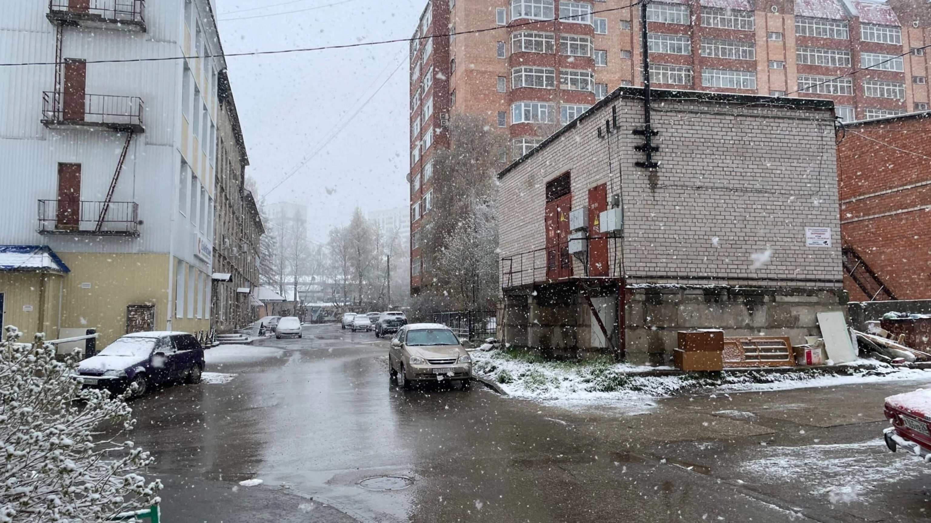 Мокрый снег и порывистый ветер: погода в Коми 8 мая