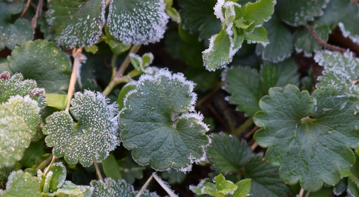 Грядет очередная волна холода: следующая неделя заставит одеться тепло, температура резко упадет