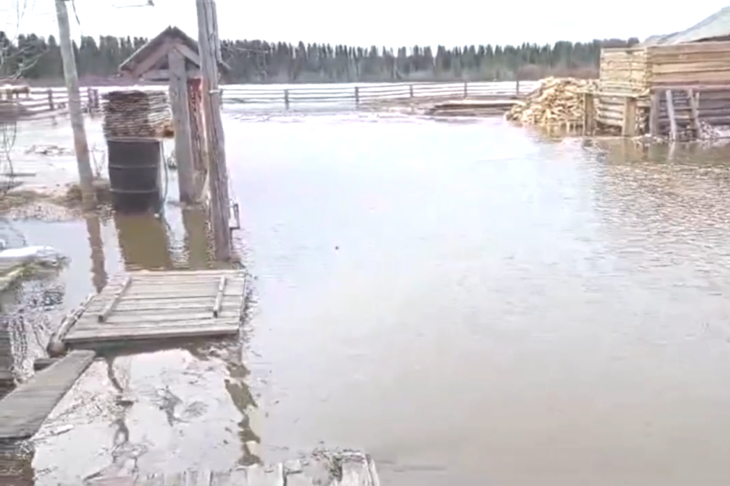 В Усть-Цилемском районе вода подтопила несколько населенных пунктов