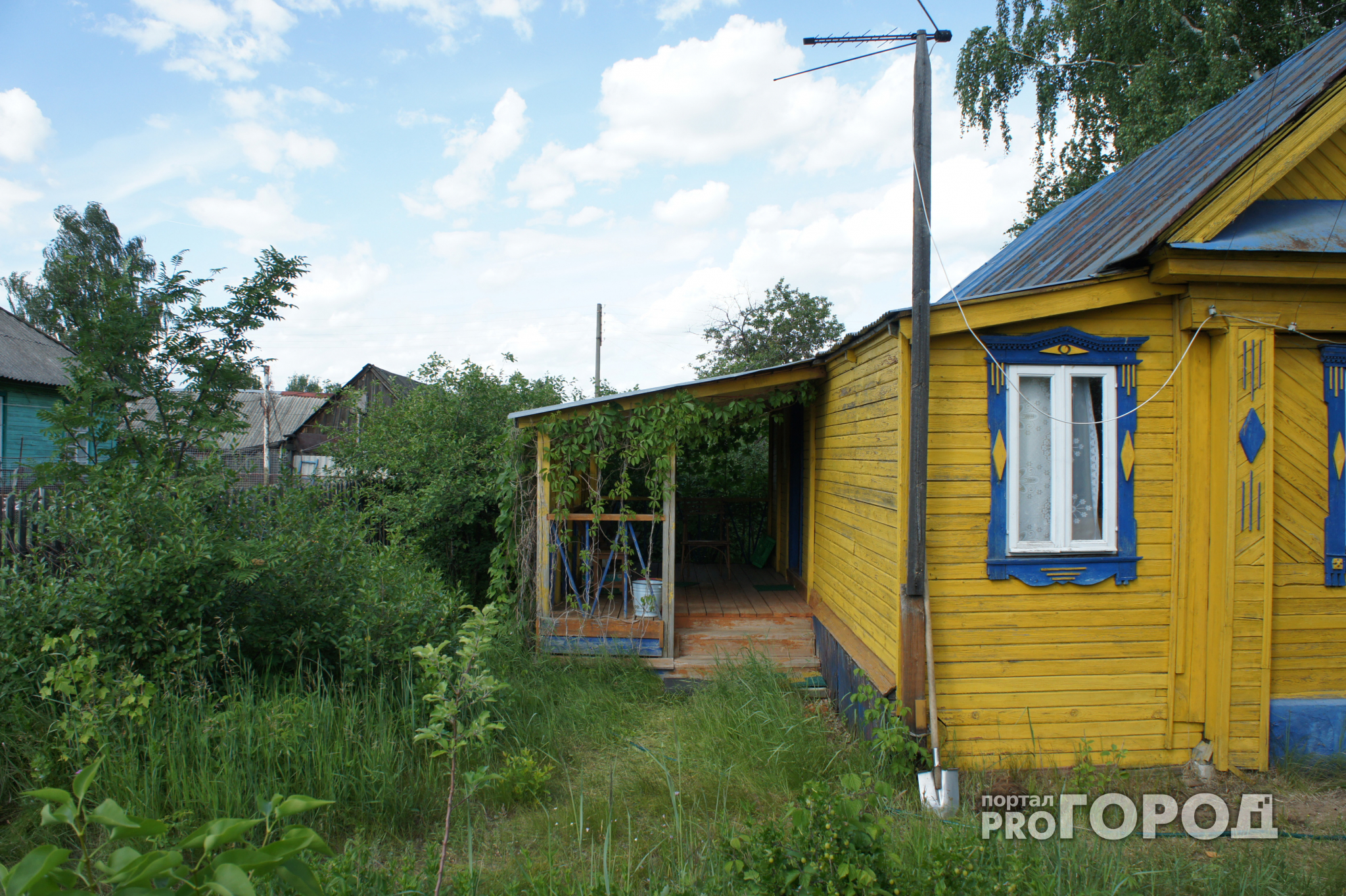 С 5 июня запрещено и точка: неприятный сюрприз застанет врасплох всех огородников и садоводов