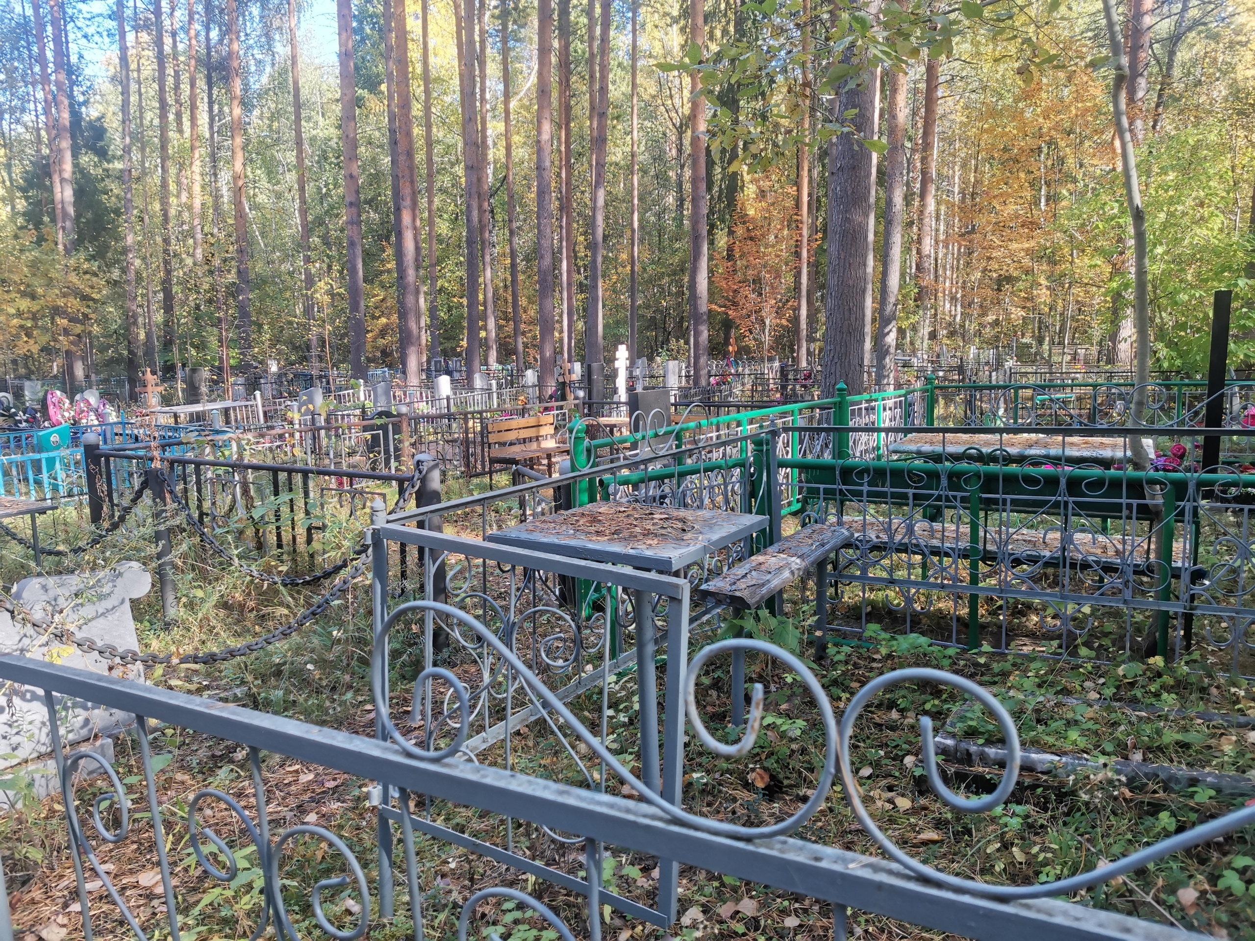 В Сыктывдине могут открыть новое кладбище