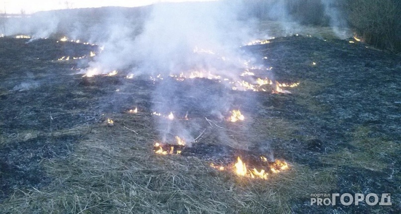 В Коми стало больше лесных пожаров