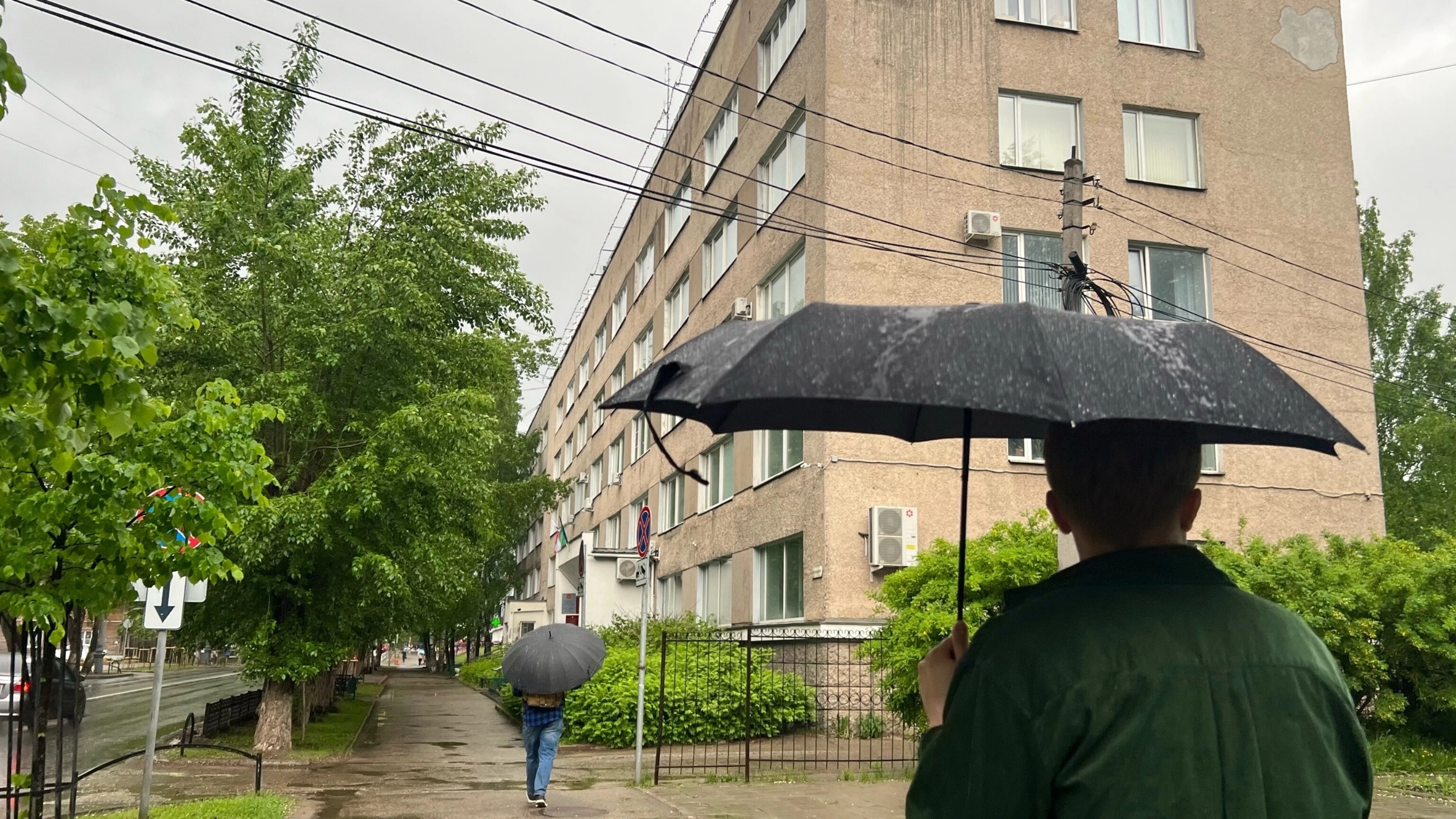 Ливни, грозы и порывистый ветер: погода в Коми 10 июля