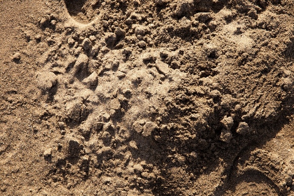 Семья с детьми застряла в грязи в Коми: на помощь пришли спасатели