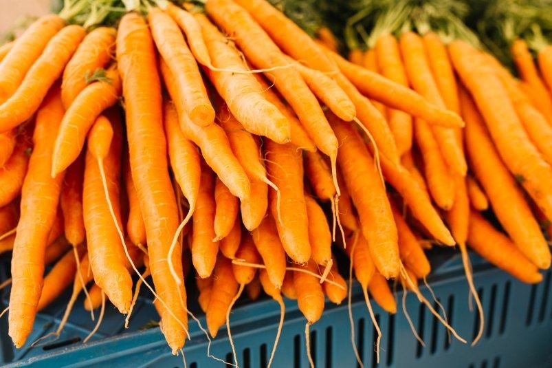 Посадите этот сорт моркови после 24 июля: рекордный урожай вам обеспечен в сентябре