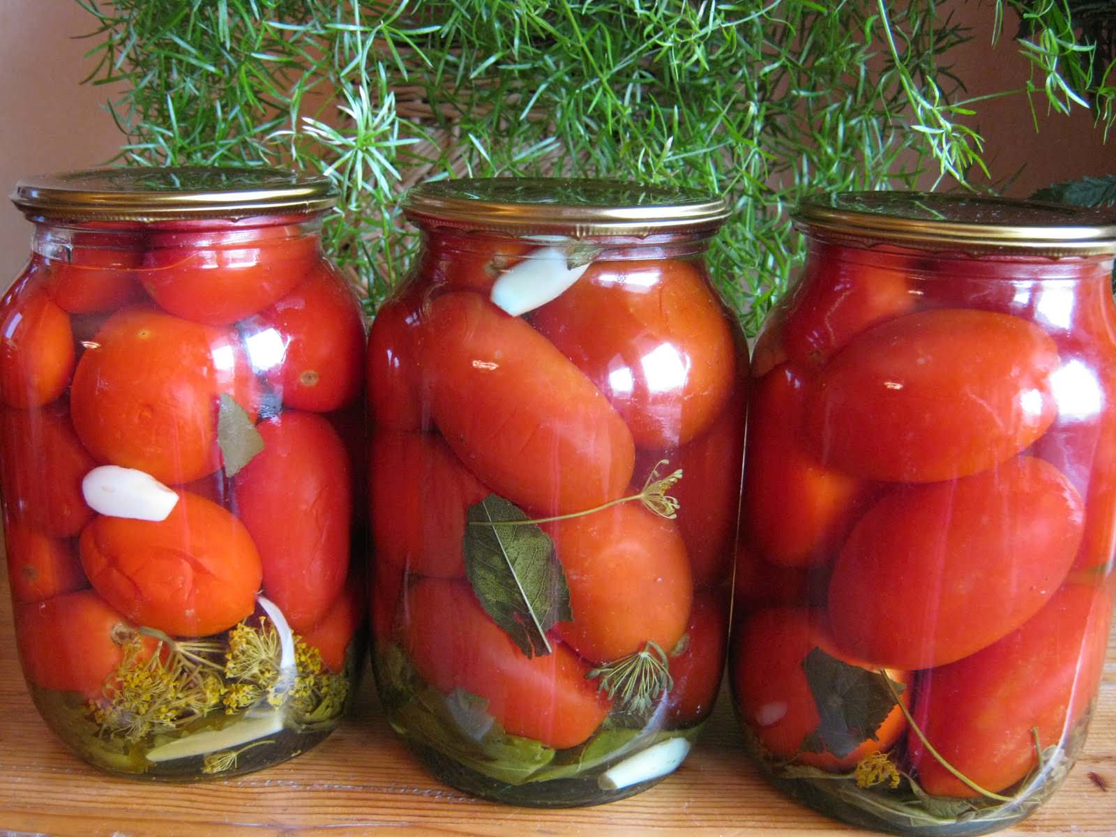 Старинный бабушкин рецепт маринованных помидоров: равнодушным не останется никто