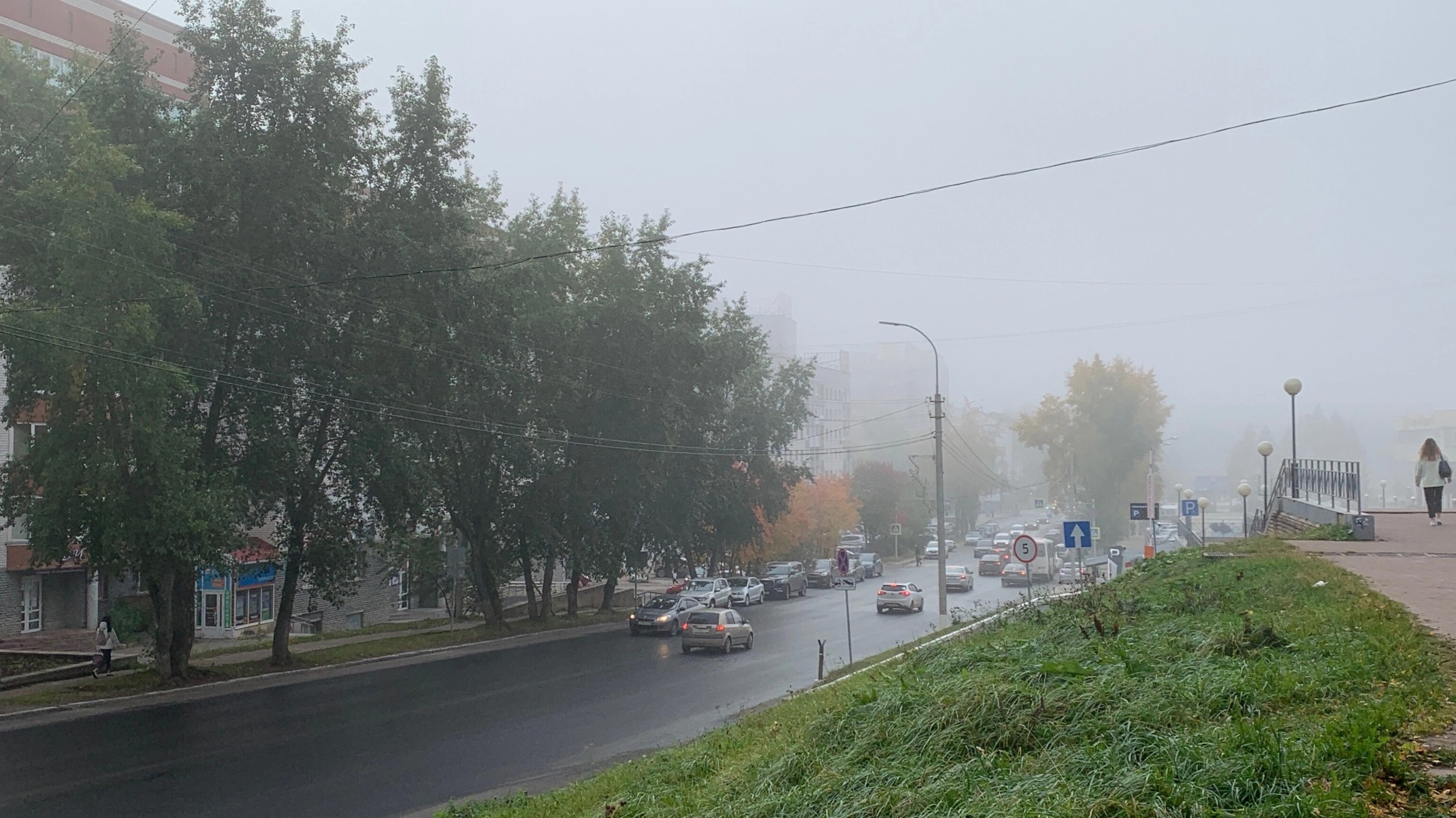 Туман, грозы и дожди: погода в Коми 2 августа