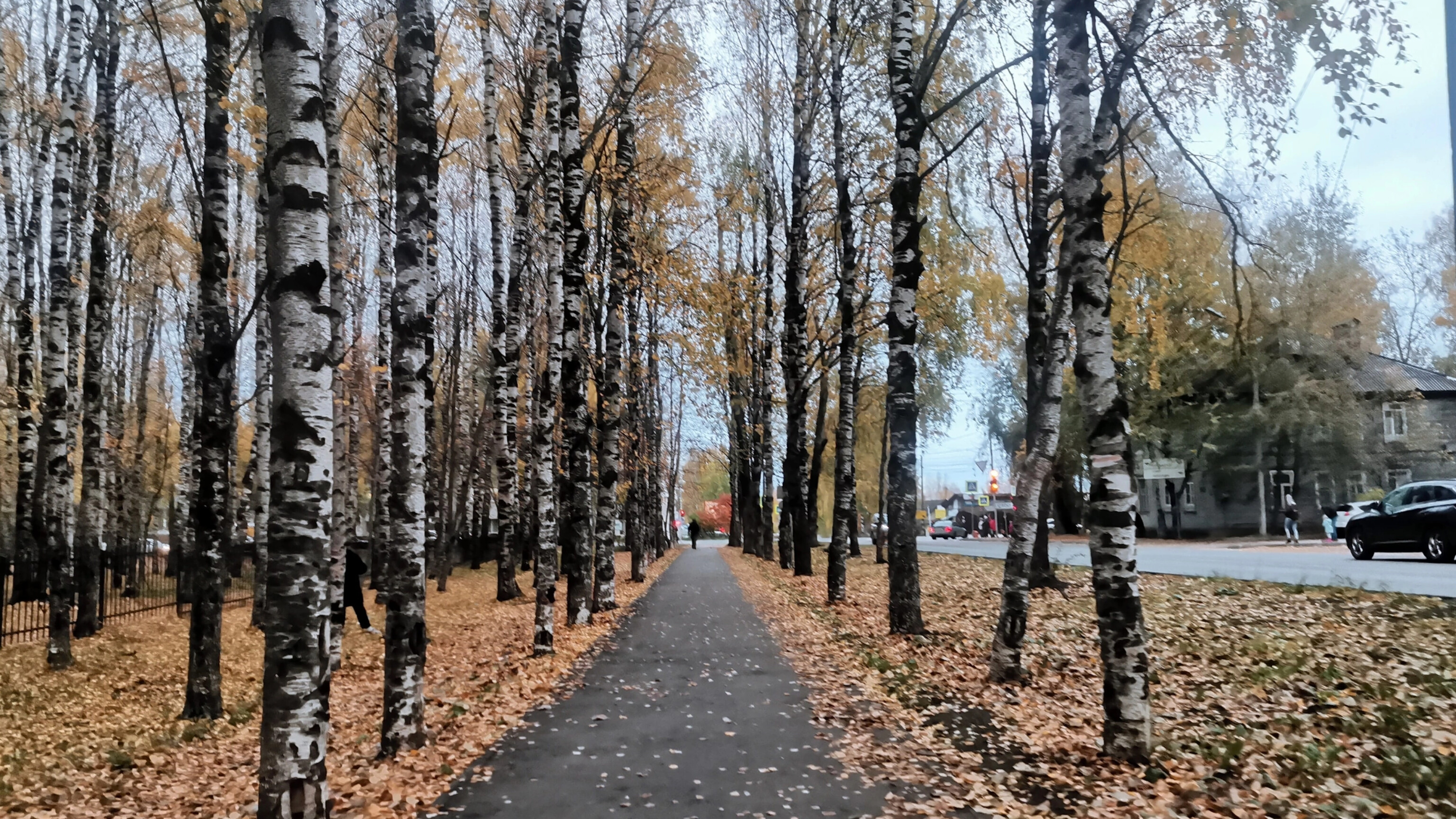 В Коми пришли первые заморозки