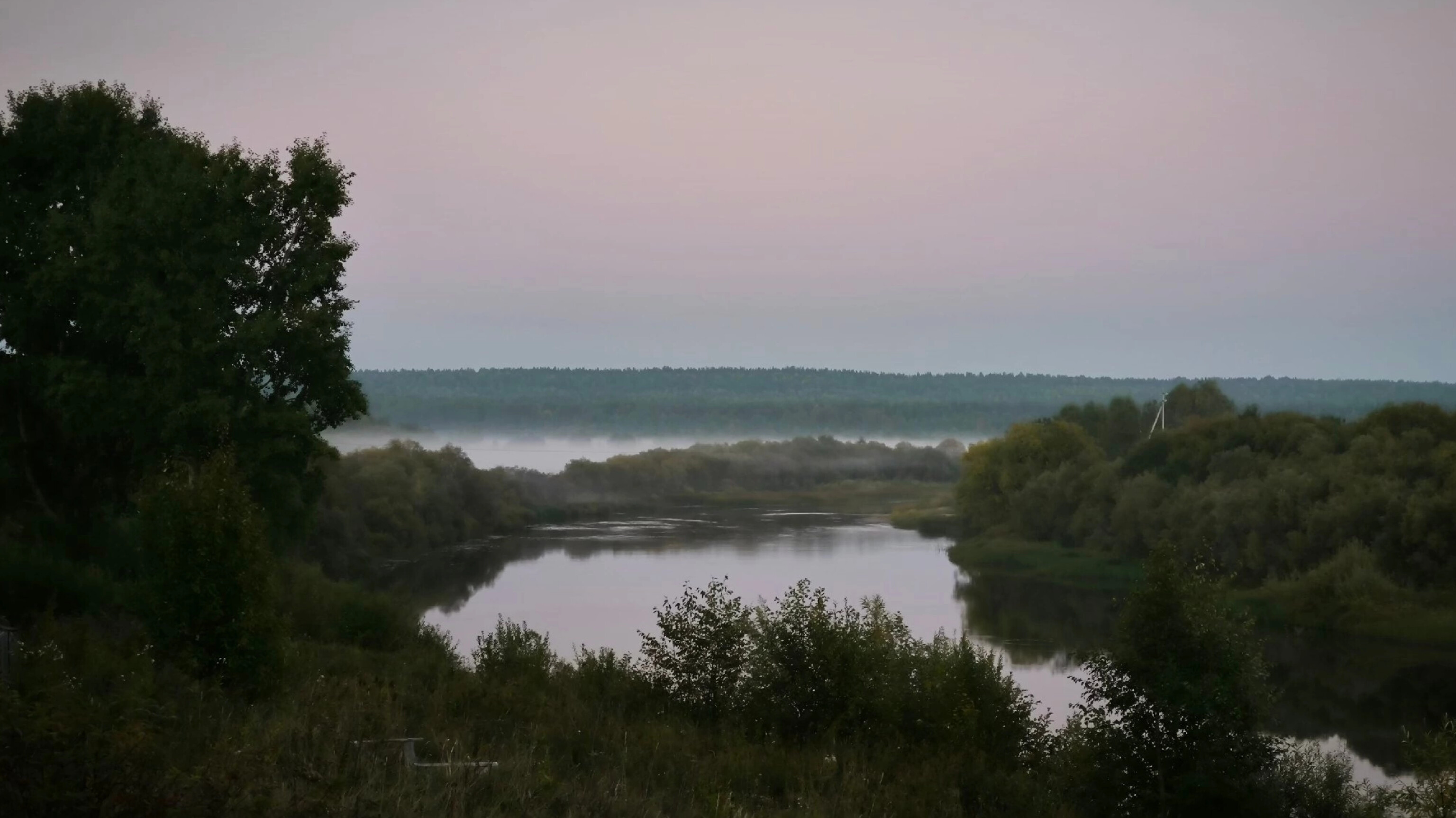 Тепло и туманно: погода в Коми 9 сентября