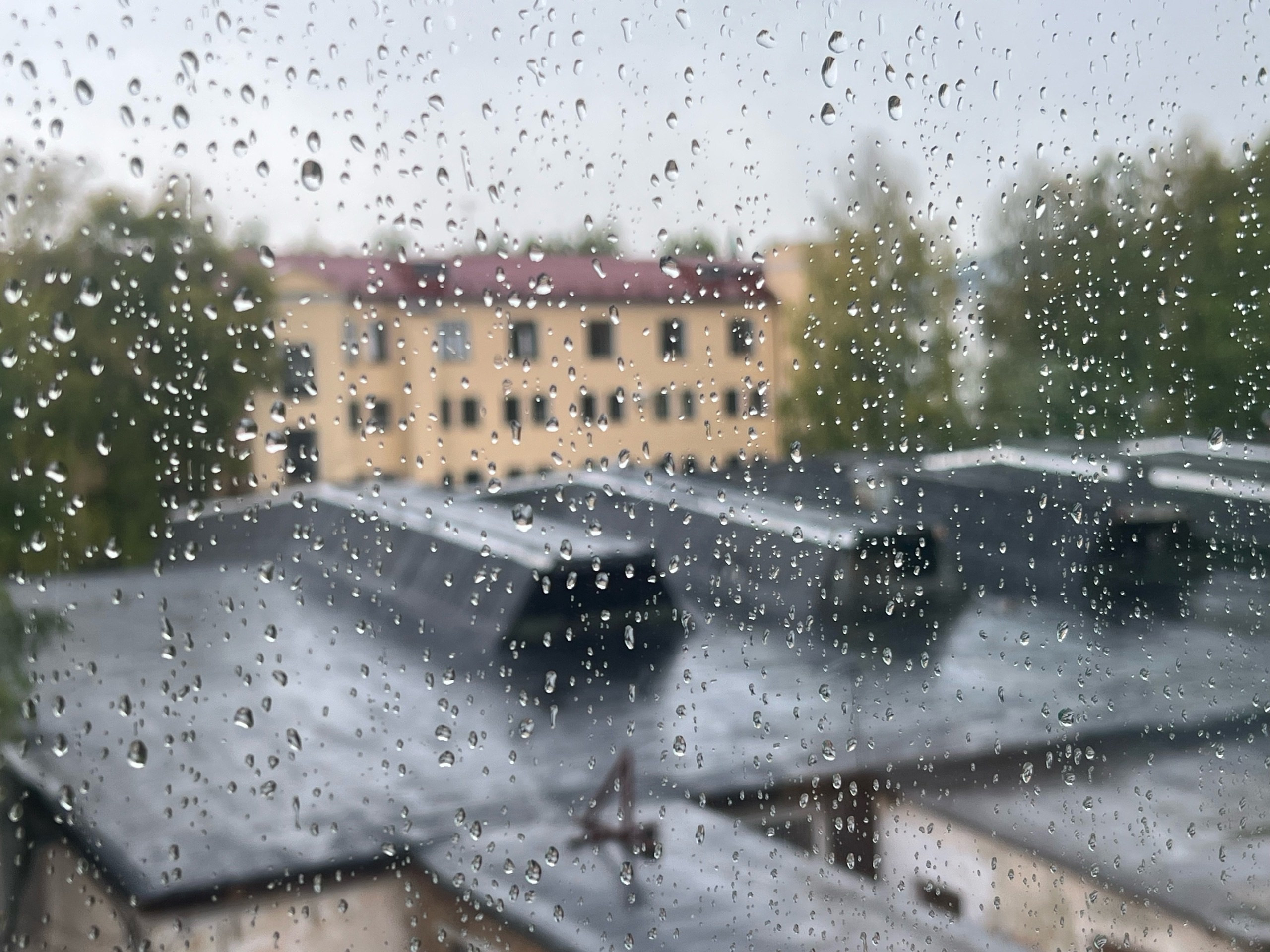 Удача сразу на 2 десятка лет вперед: Василиса Володина назвала самый удачливый знак на ближайшие 27 лет