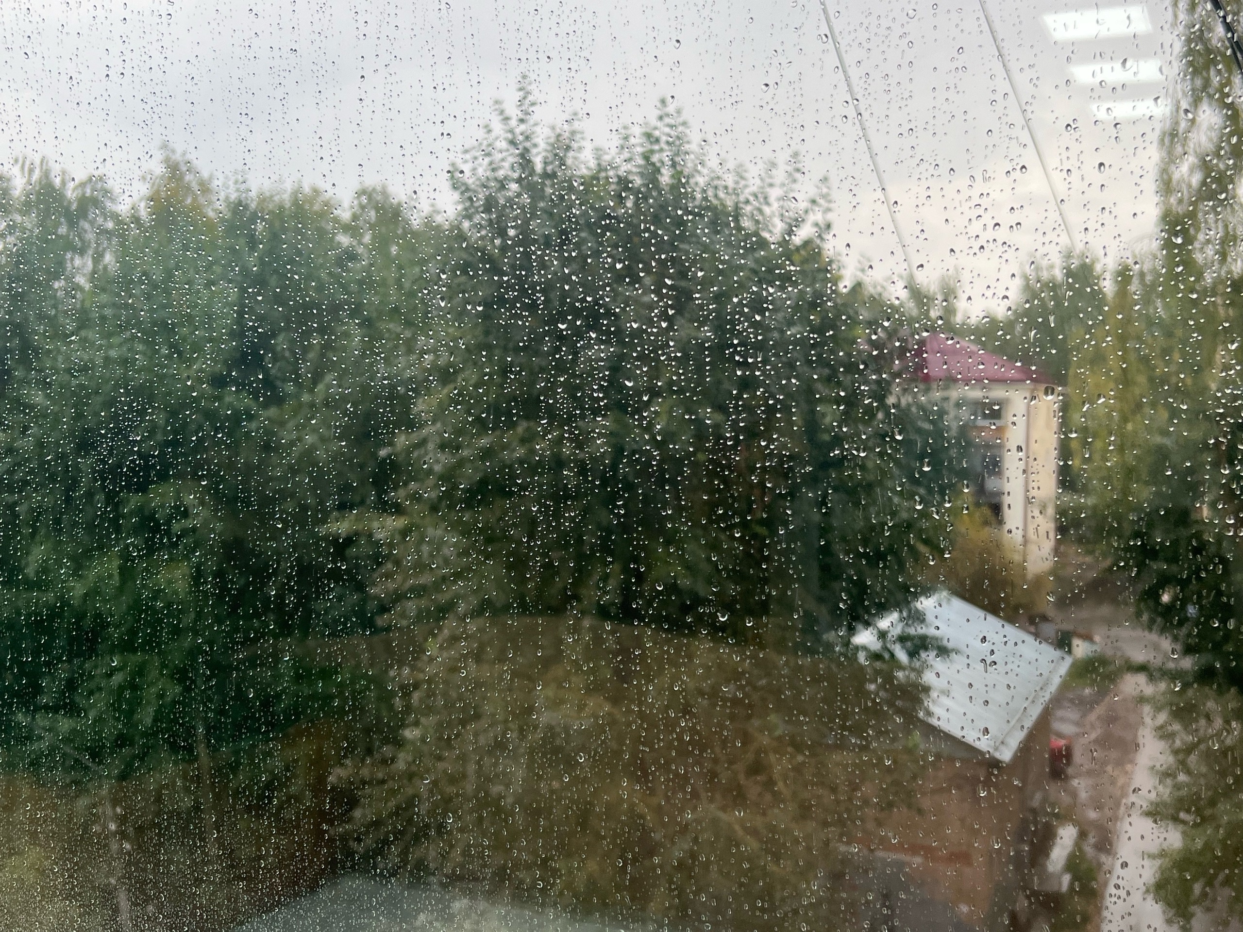 "В октябре начнется то, чего не было с 1743 года": синоптики сказали, к чему готовиться