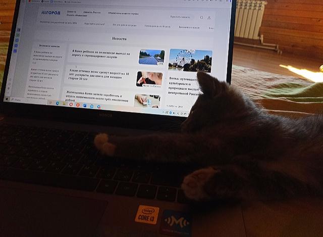 Чернышов призвал развивать аналоги YouTube в России