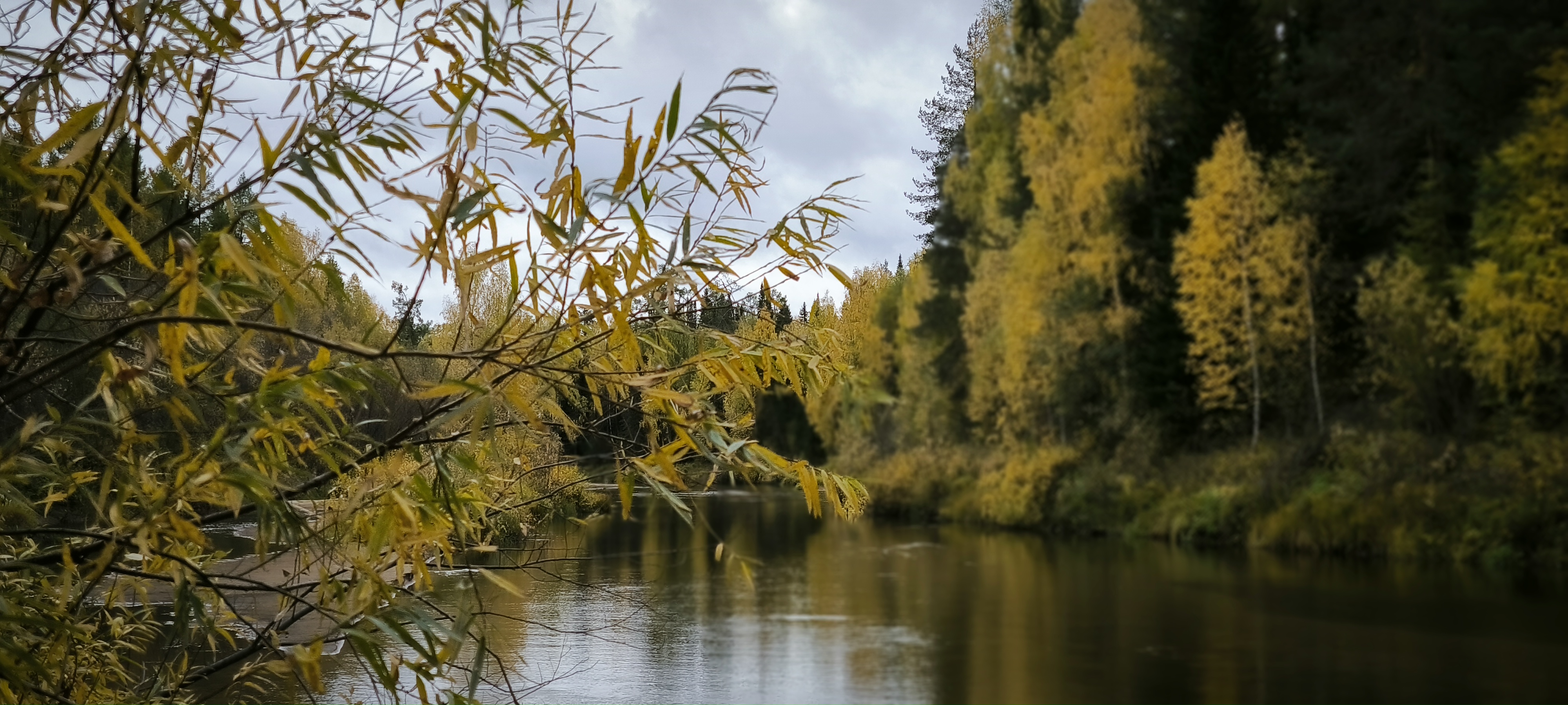 Ветрено и тепло: погода в Коми 30 сентября