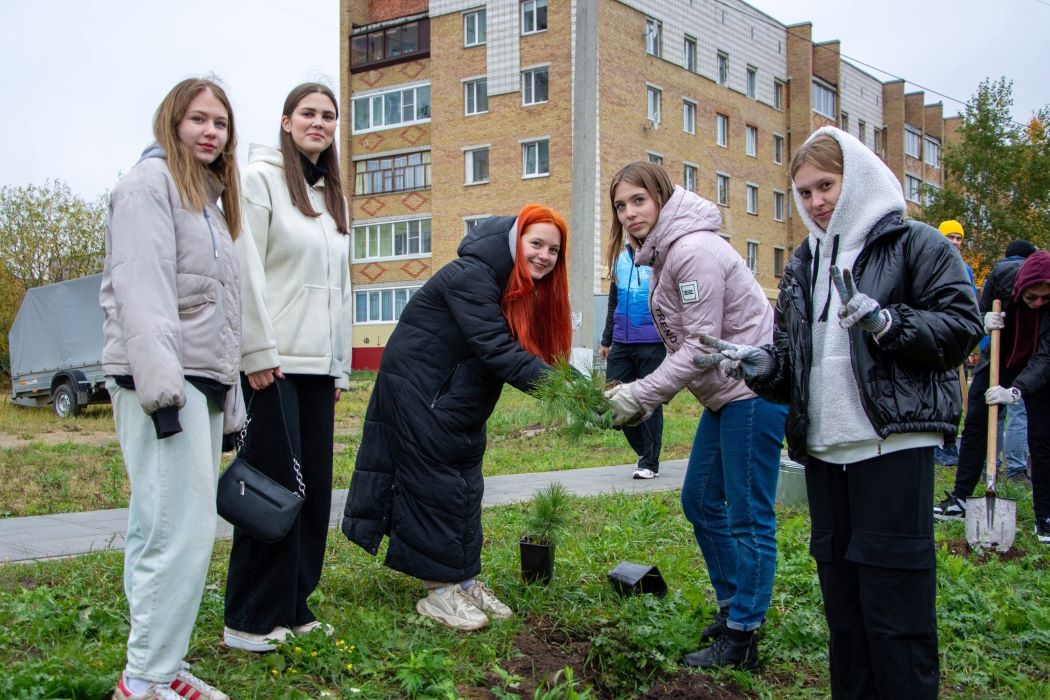 Студенты ухтинского университета высадили на городской набережной более 300 кедров