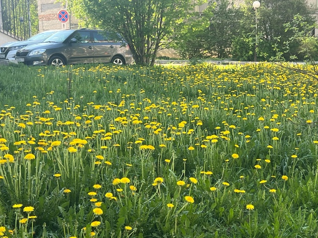 В Коми сдать макулатуру можно в 23 пунктах 