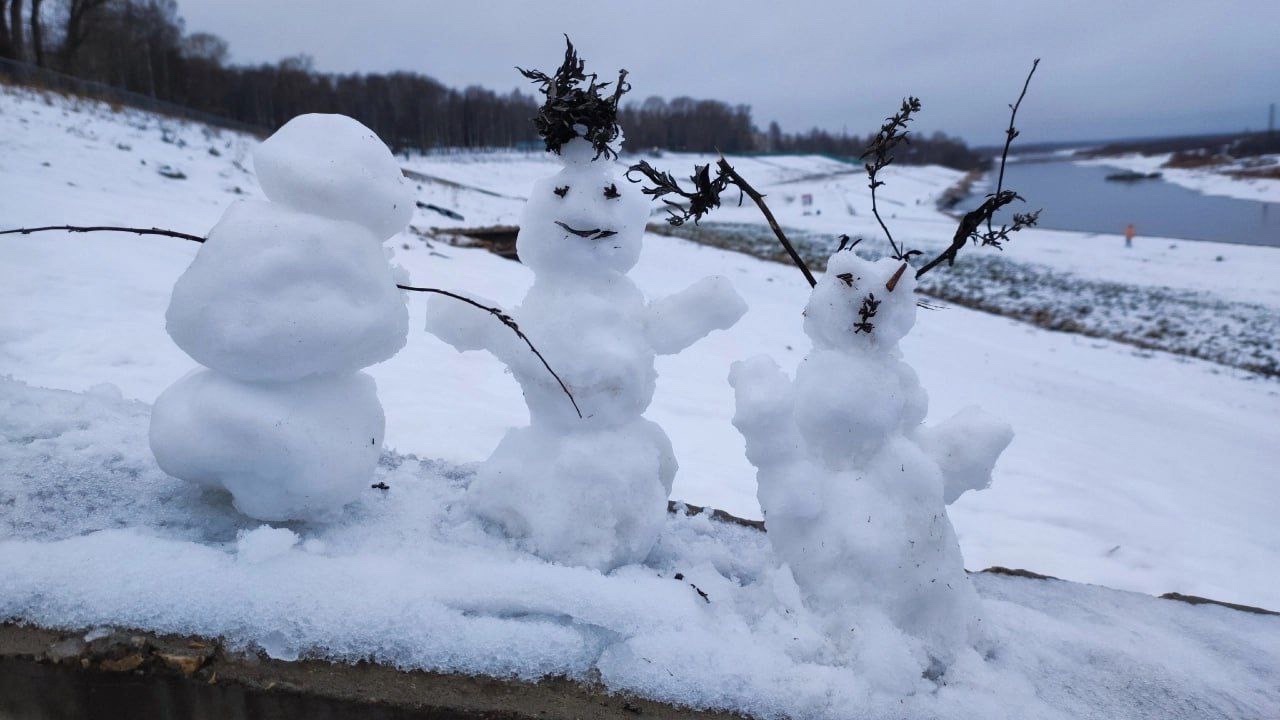 Сыктывкар завоевывают снеговики: зимнее творчество горожан