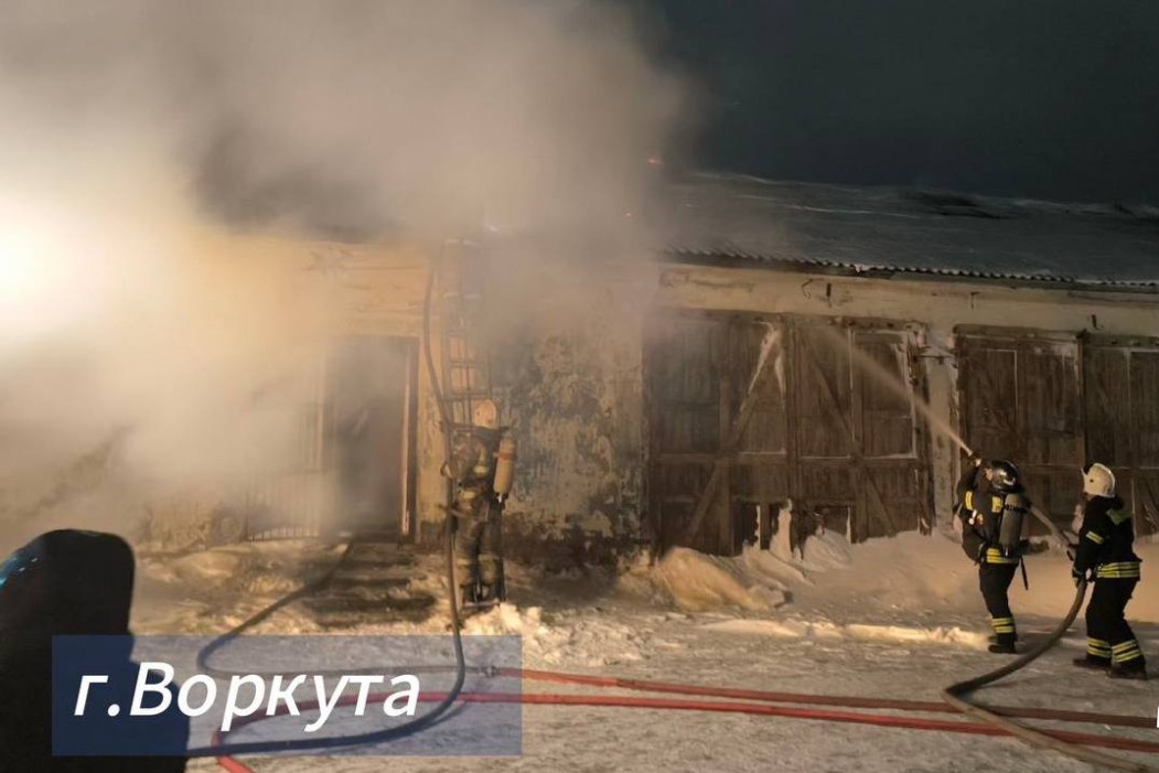 В Воркуте случился пожар в приюте для бездомных животных 