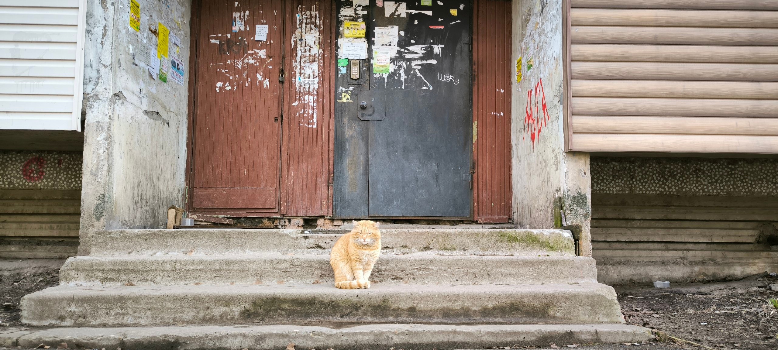 Аномальная мартовская жара и майский холод: метеорологи обновили прогноз на весну 2025 года
