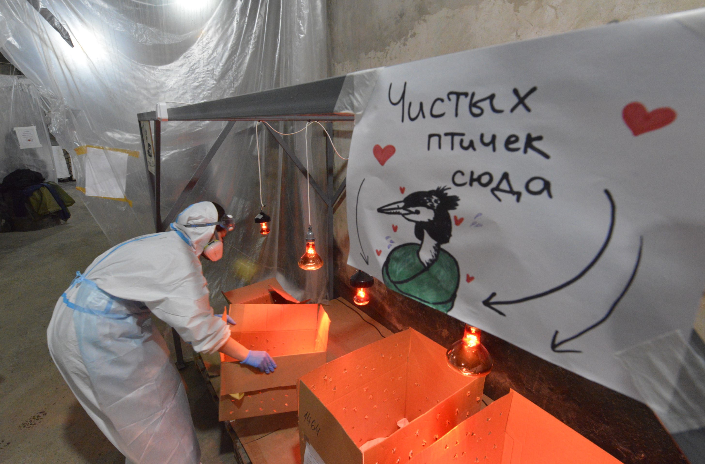 ВТБ направит 25 млн рублей на устранение последствий разлива мазута в Керченском проливе