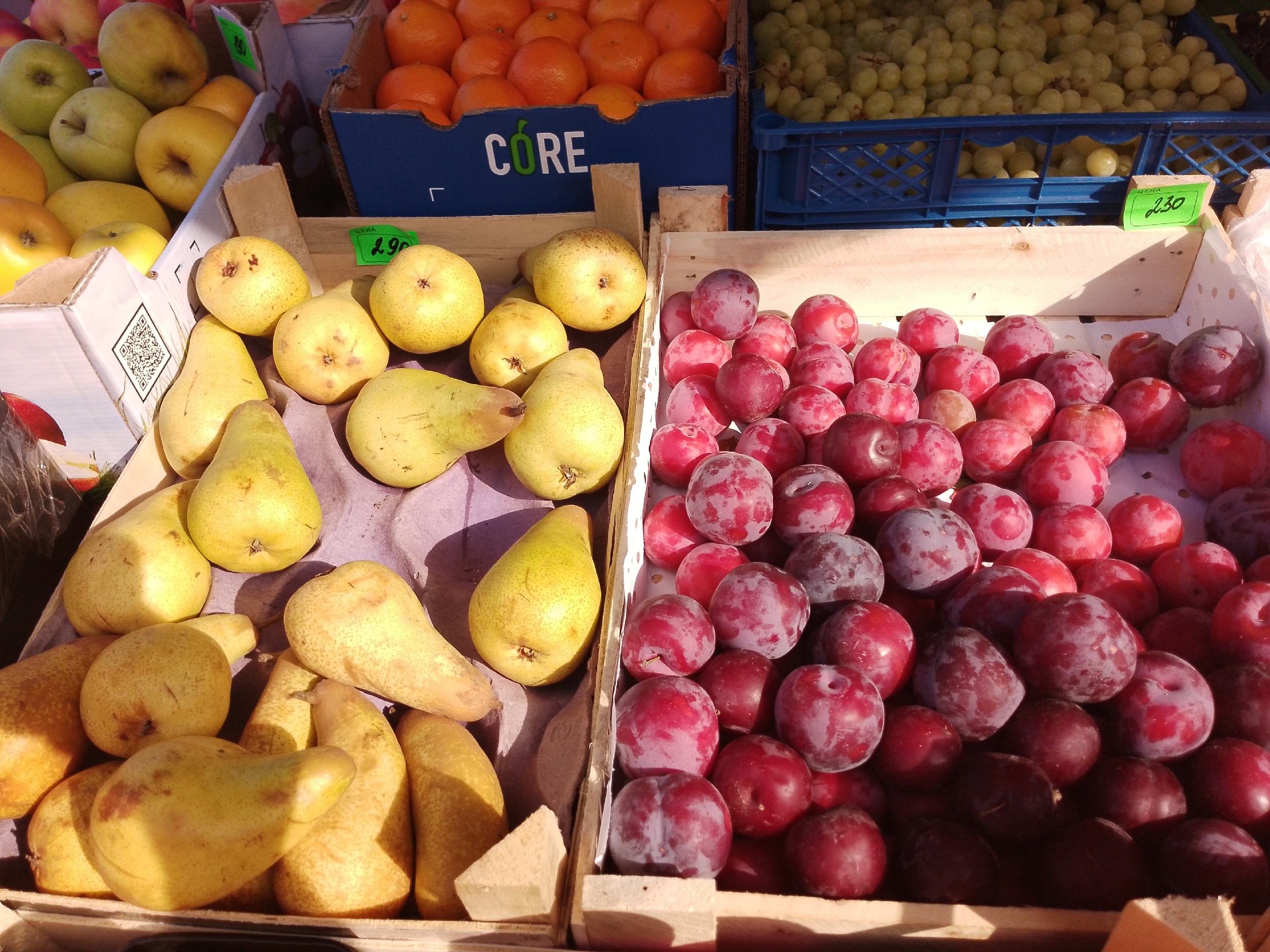 Посадил — и забыл: как вырастить сочную грушу, которая даст щедрый урожай на годы