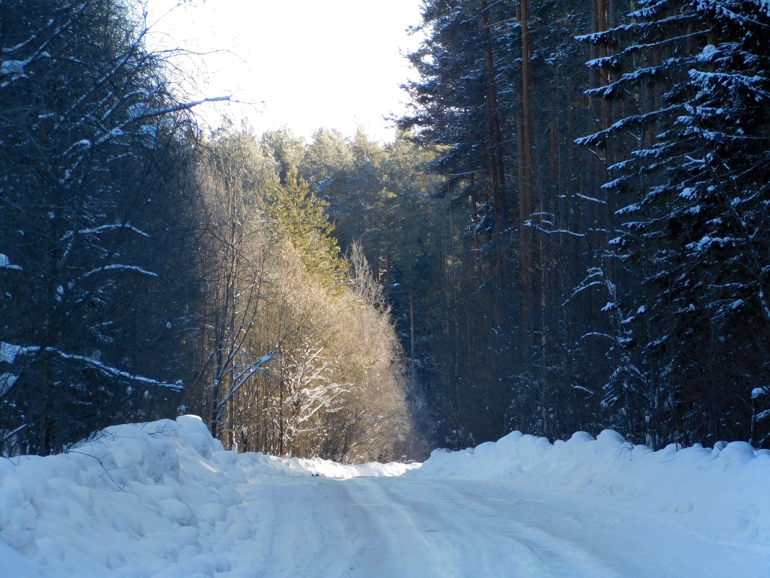 Скандинавский циклон обрушился на Коми: жителей республики ждут мартовские морозы