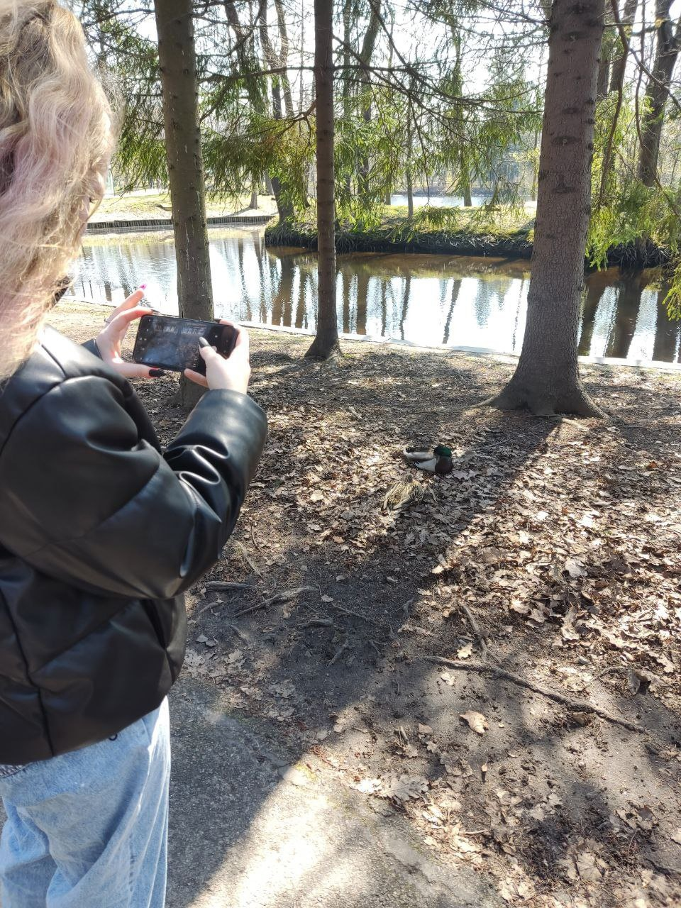 Путешественники Коми могут выиграть 3 миллиона в конкурсе о Дальнем Востоке и Арктике