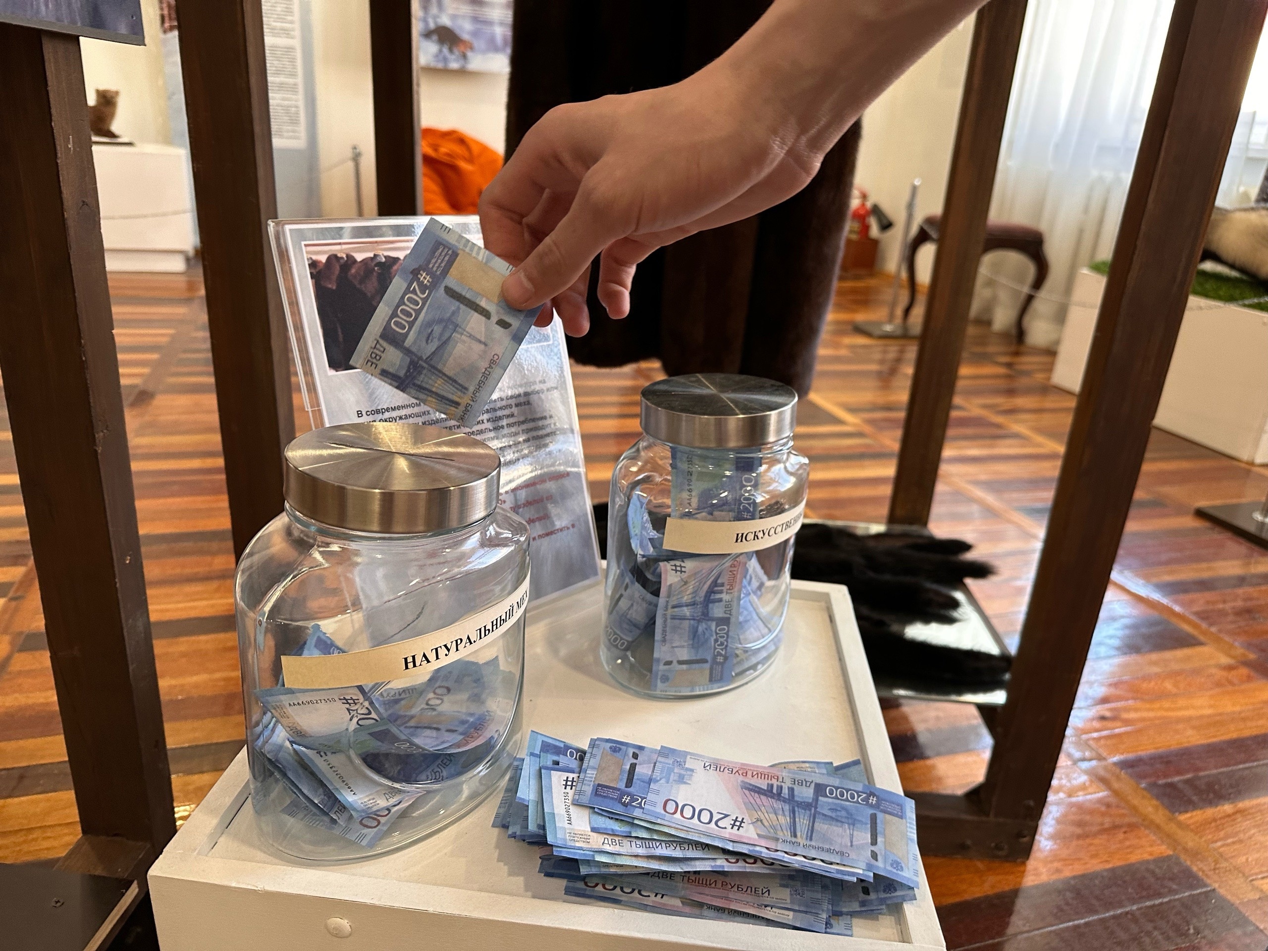 Для детей из Коми провели уроки финансовой грамотности