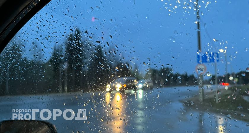 Июнь разочарует со всех сторон: в какие регионы России идут дожди, а кто будет изнывать от жары — рассказали синоптики