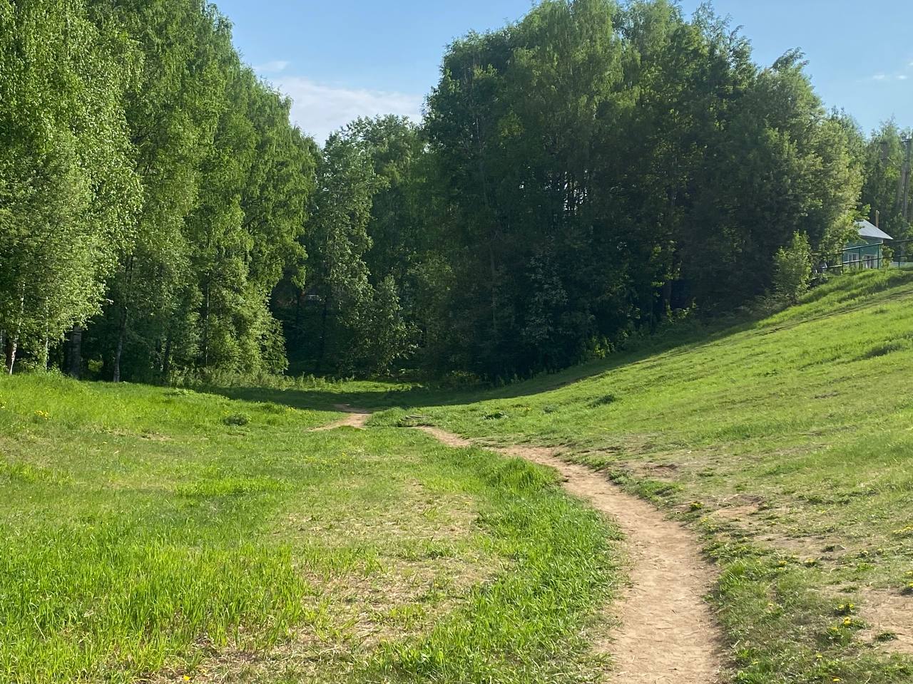 Июнь в Коми принесет температурные качели и обильные осадки  