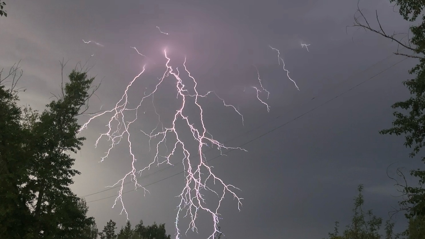 Грозы и ливни надвигаются на юг Коми 