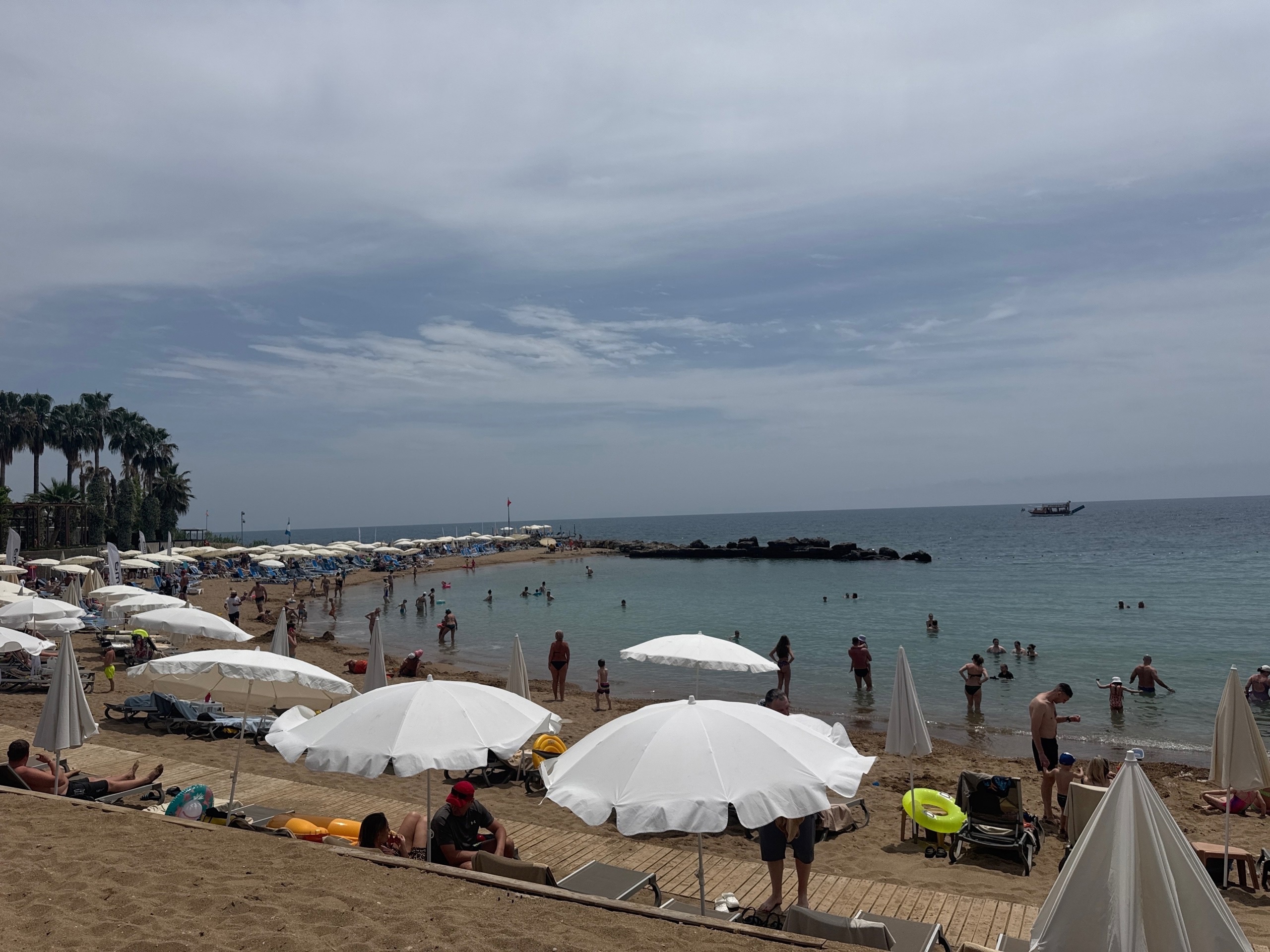 "Купаться невозможно, все сидят на берегу": Черное море преподнесло неприятный сюрприз отдыхающим